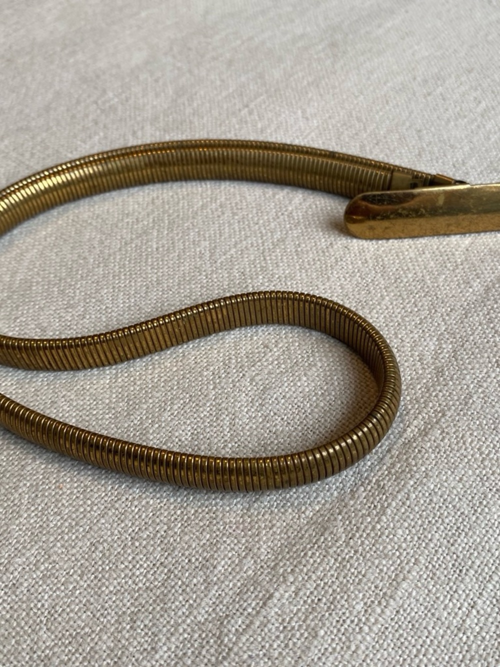 Iconic 70’s-80’s Gold-Tone Snake Belt